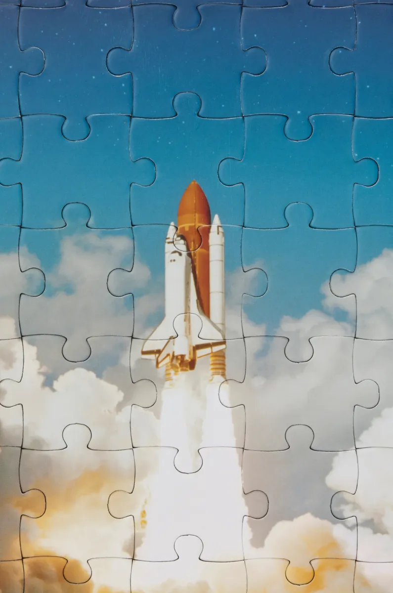 牛皮革和织物 Puzzle 10周年 动漫典藏版手袋