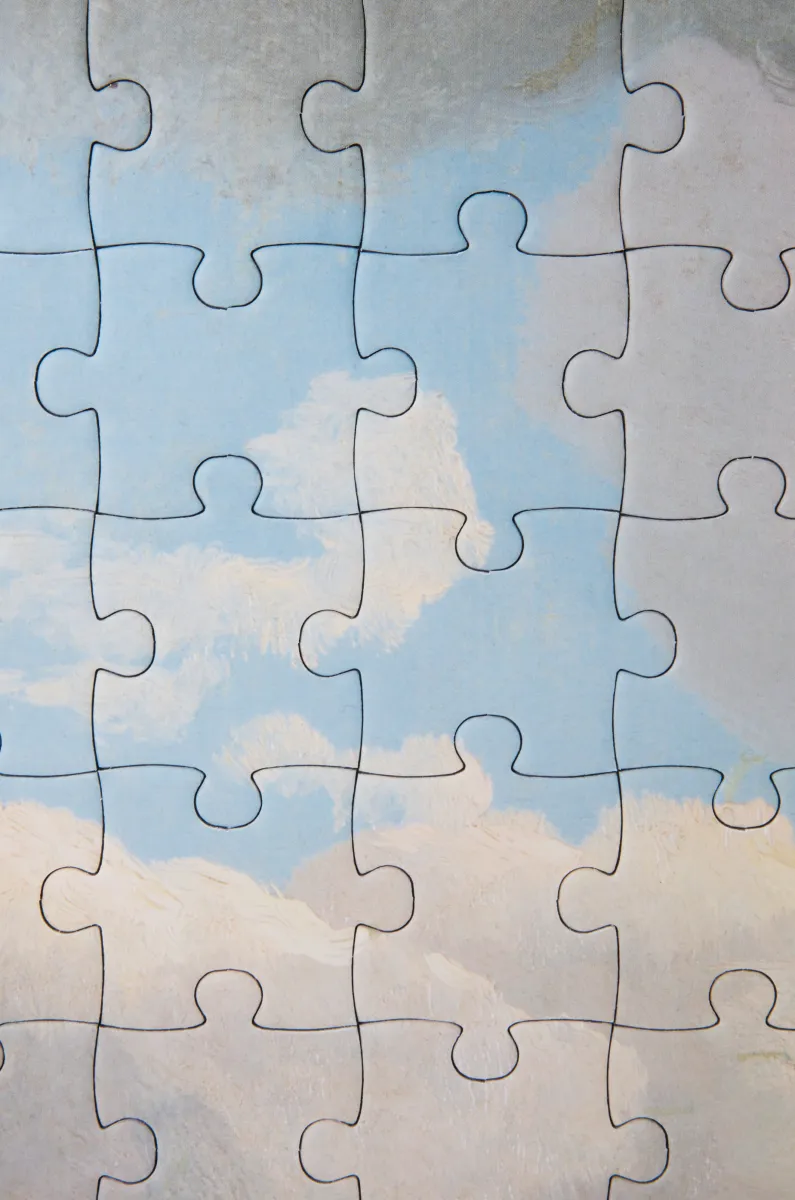 纳帕牛皮革 Puzzle 10周年 云朵典藏版手袋