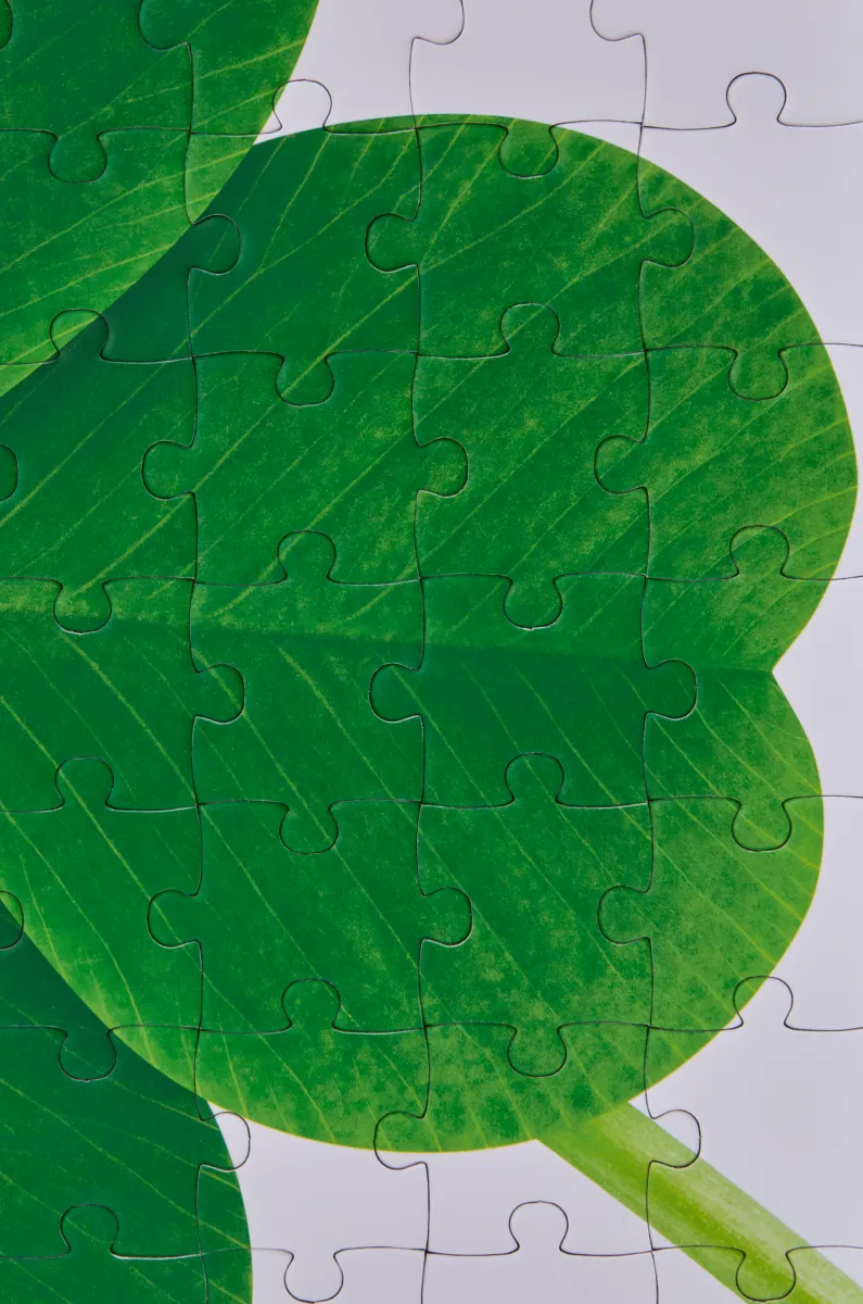 绒面牛皮革 Puzzle 10周年 2018春夏时装秀典藏版手袋