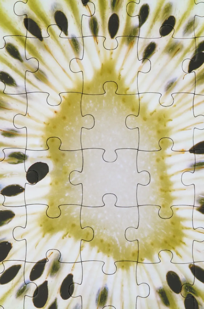 经典牛皮革 Puzzle 10周年 Paula's Ibiza奇异果典藏版手袋