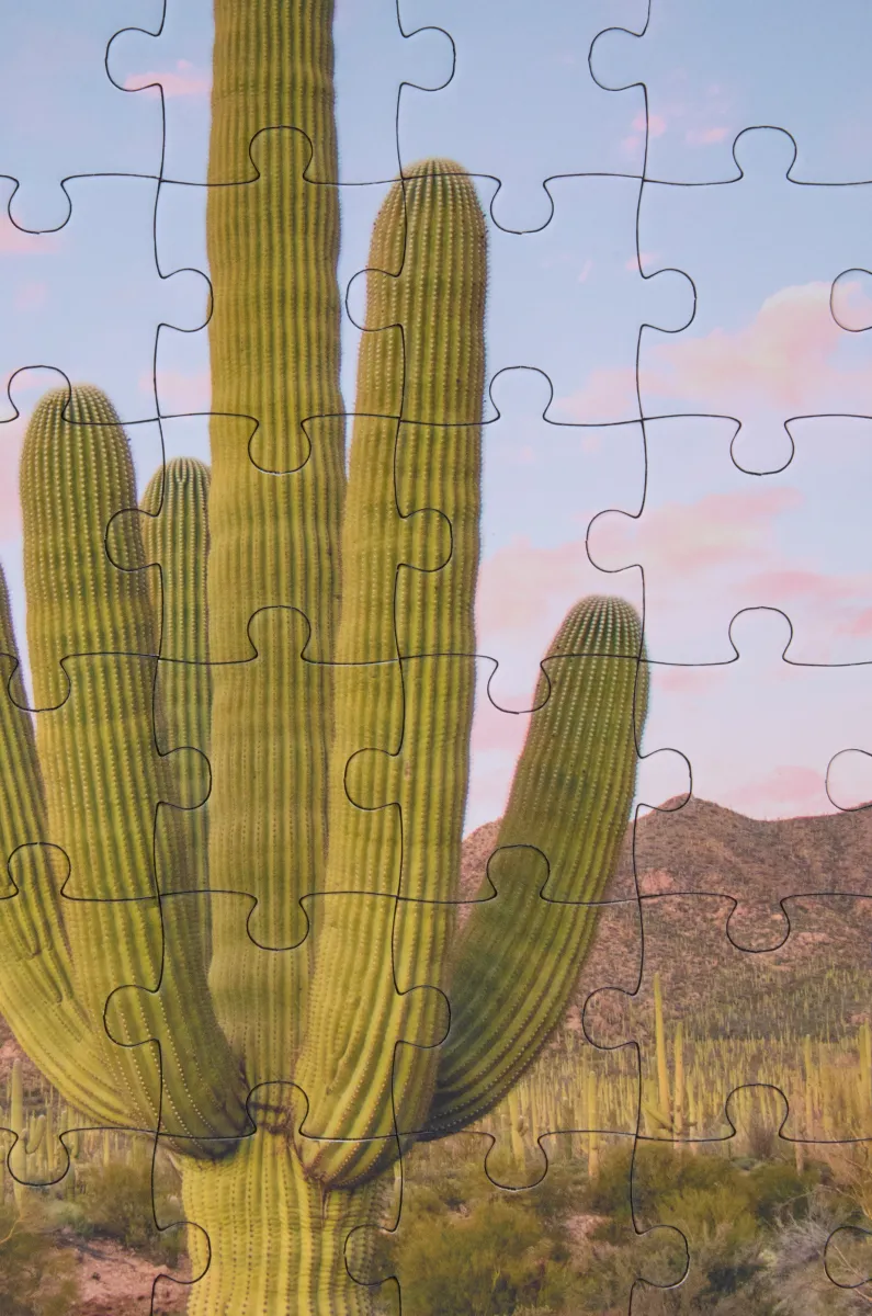 经典牛皮革 Puzzle 10周年 牛仔典藏版手袋