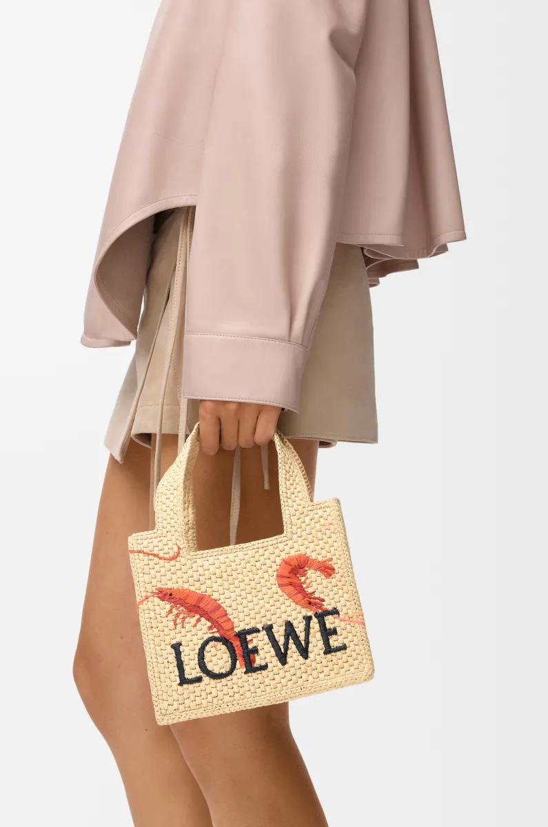 迷你拉菲草 LOEWE Font Tote 手袋