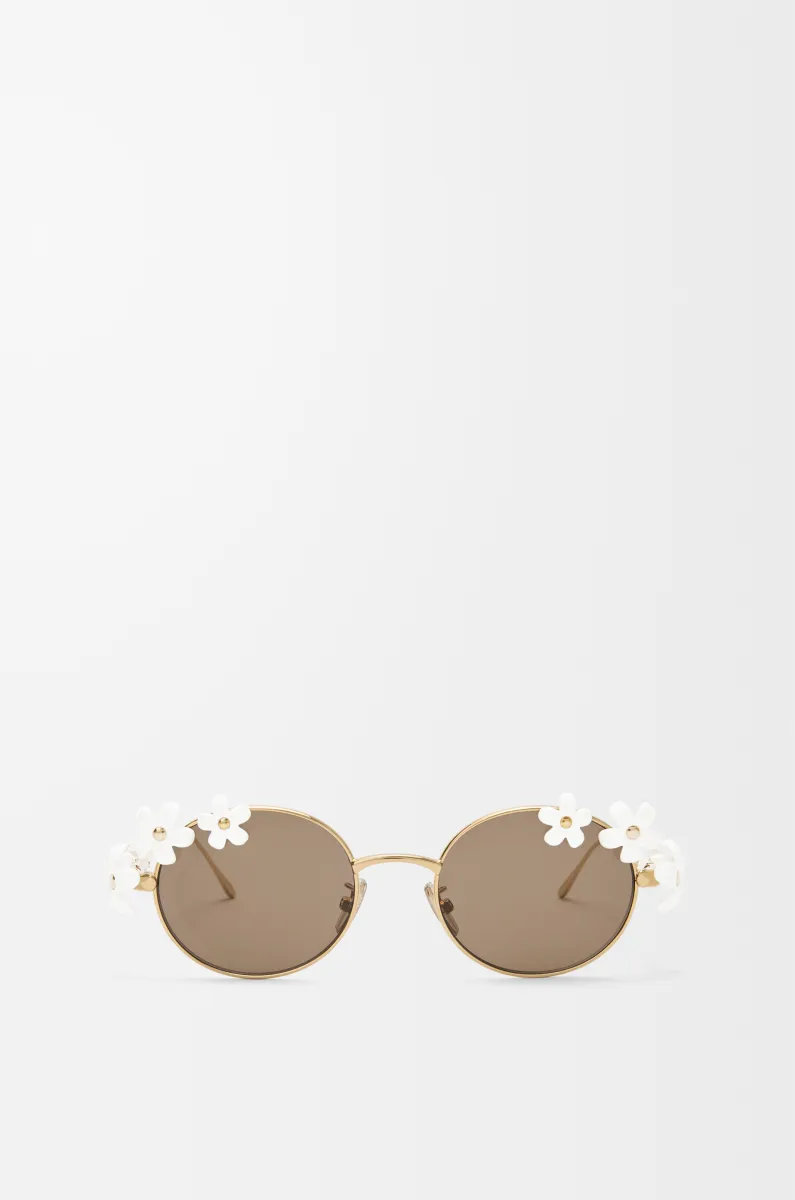 Daisy Field 太阳镜