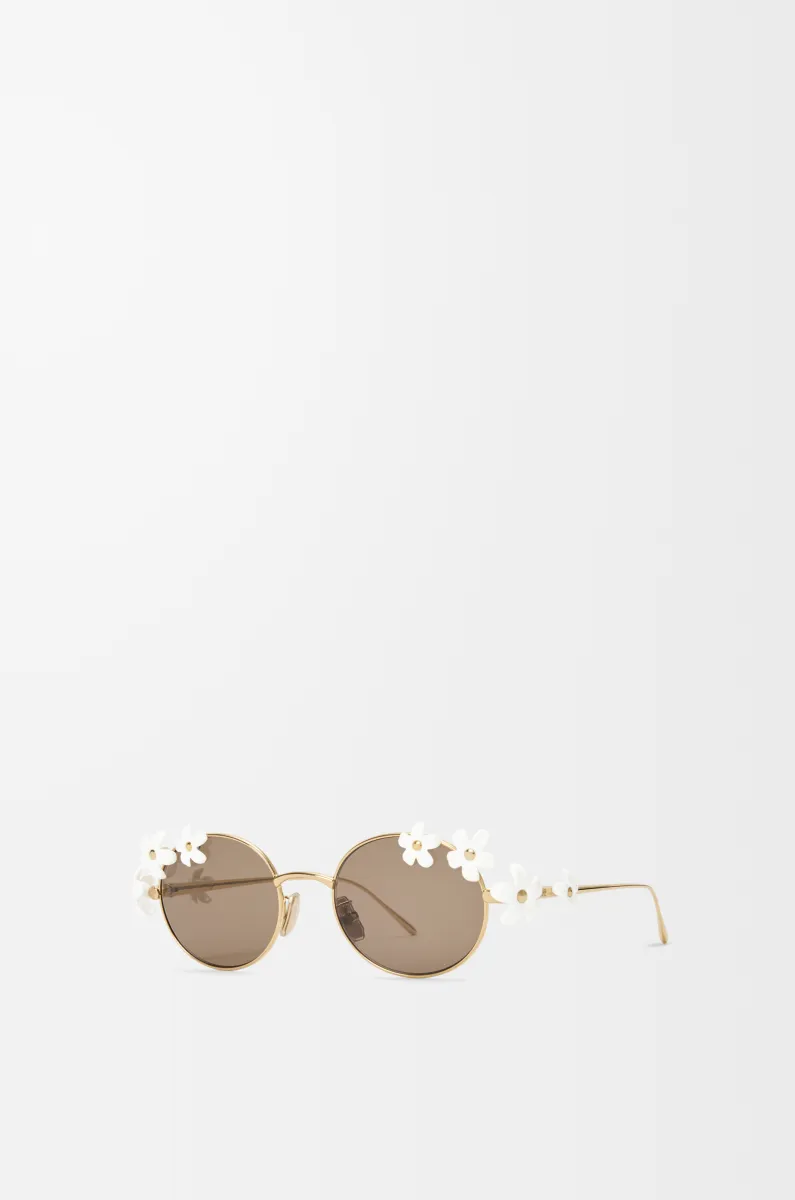 Daisy Field 太阳镜