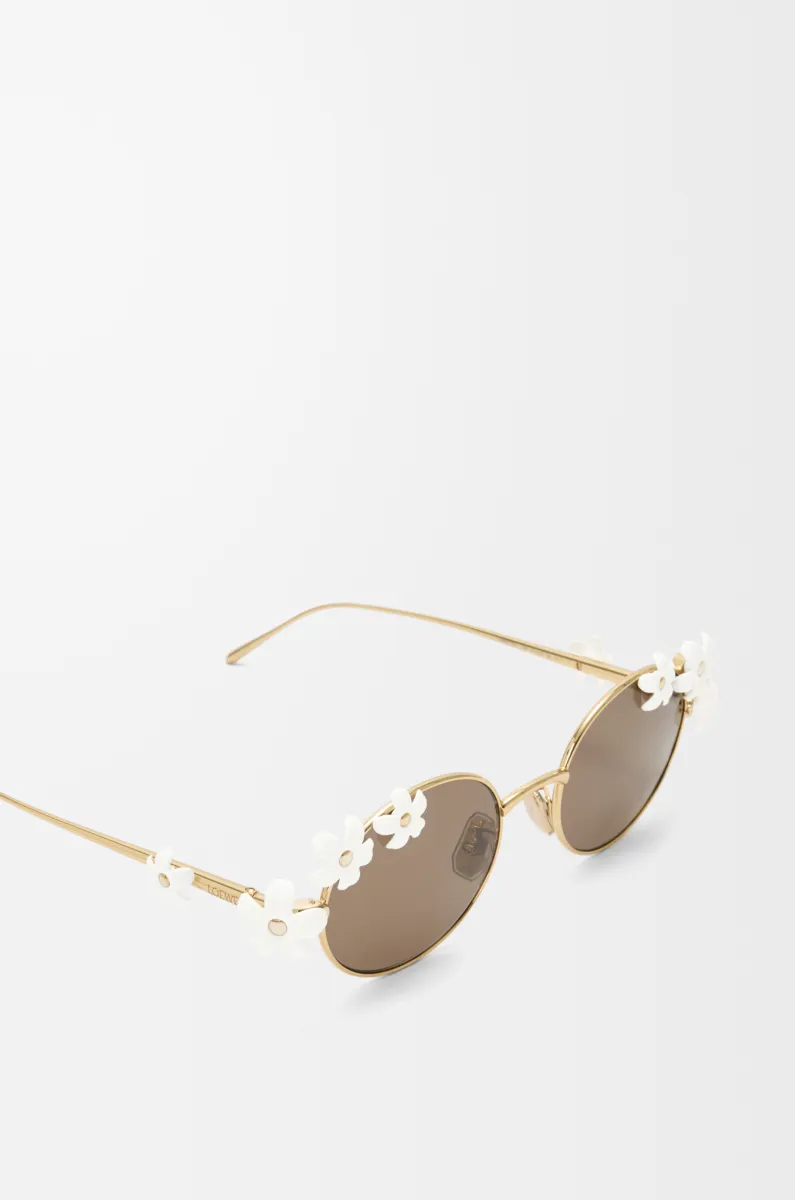 Daisy Field 太阳镜