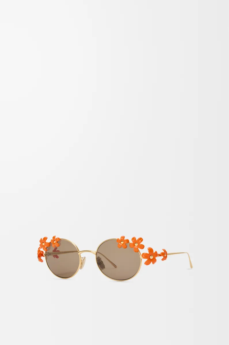 Daisy Field 太阳镜