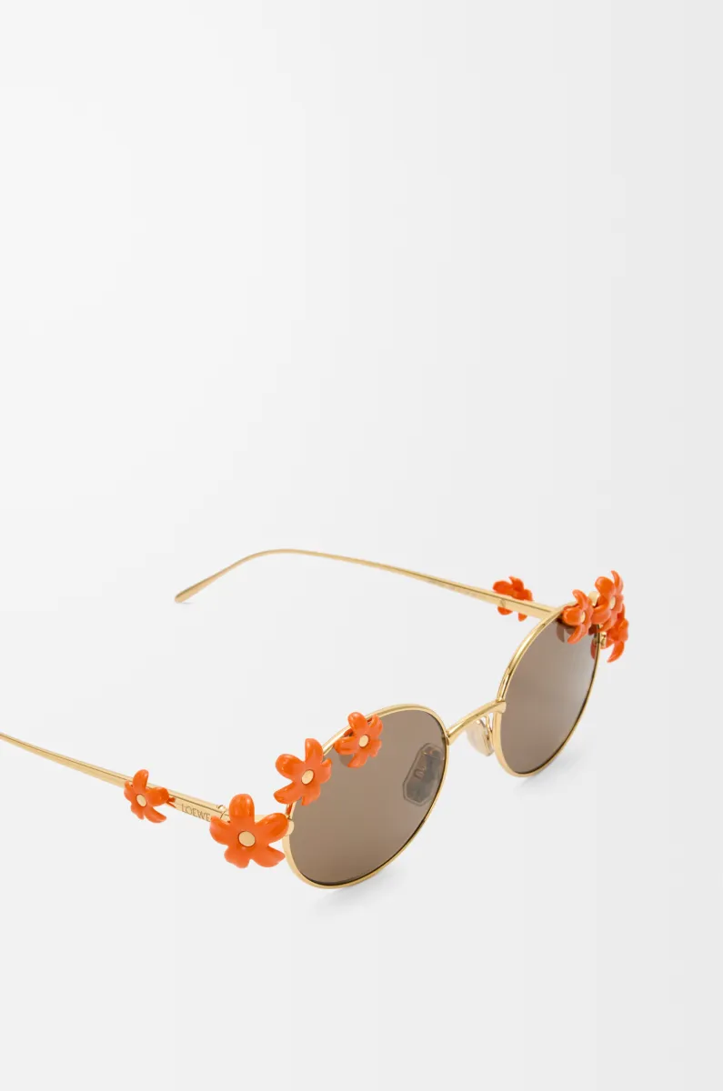 Daisy Field 太阳镜