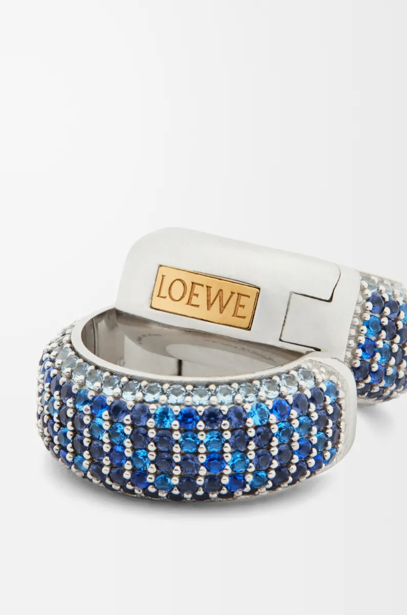 银质和水晶密镶环状耳环