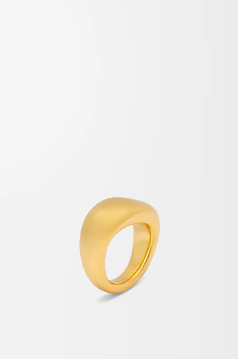 银质 Signet 戒指