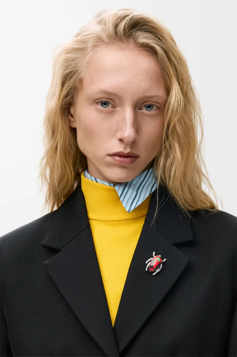 银质和珐琅胸针