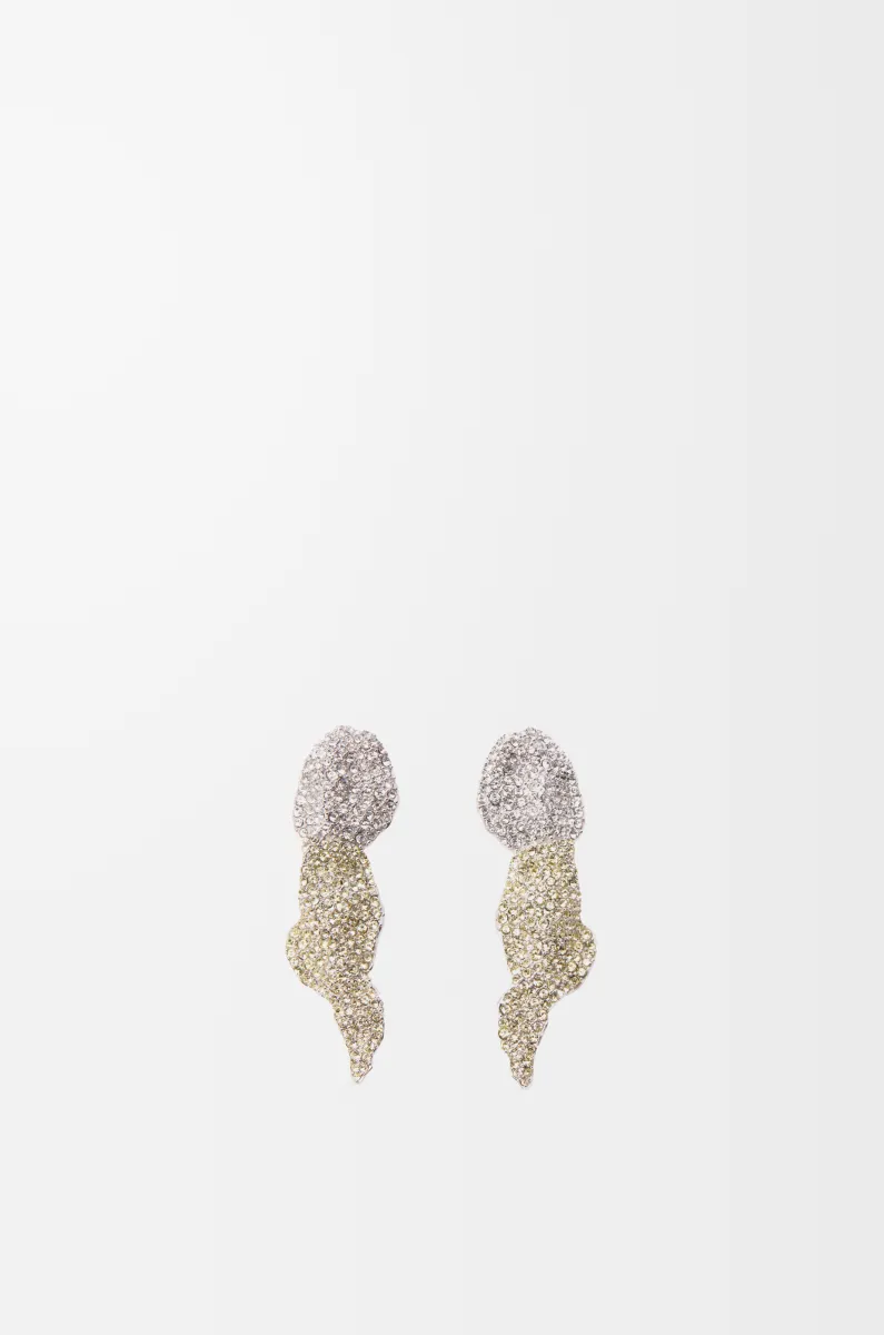 银质和水晶 Glitter Fragment 耳环