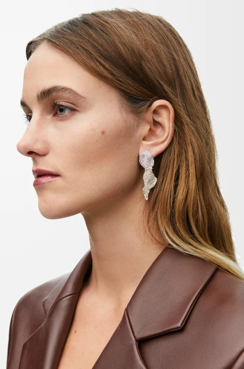 银质和水晶 Glitter Fragment 耳环