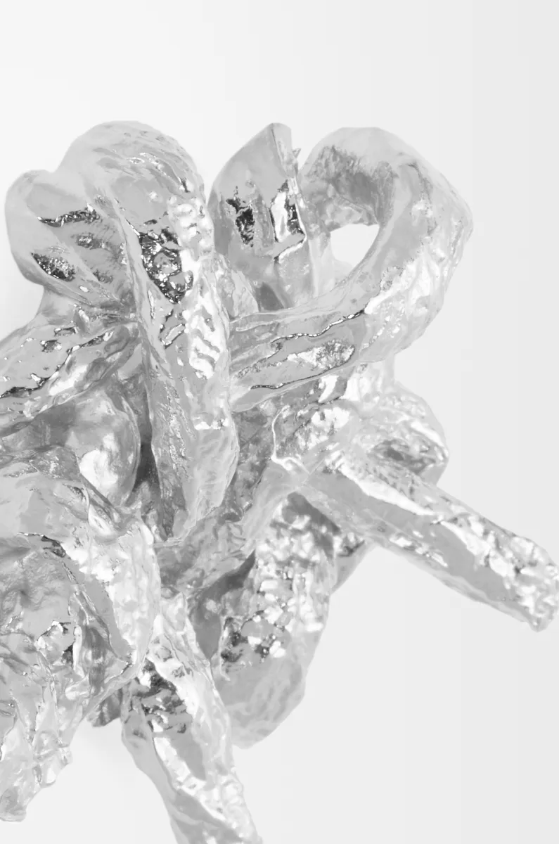 Tarantella 银质胸针