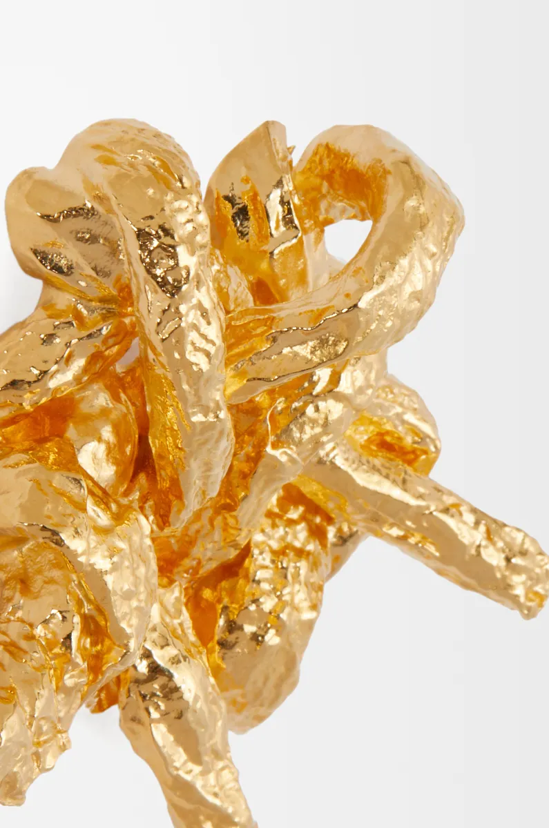 Tarantella 银质胸针