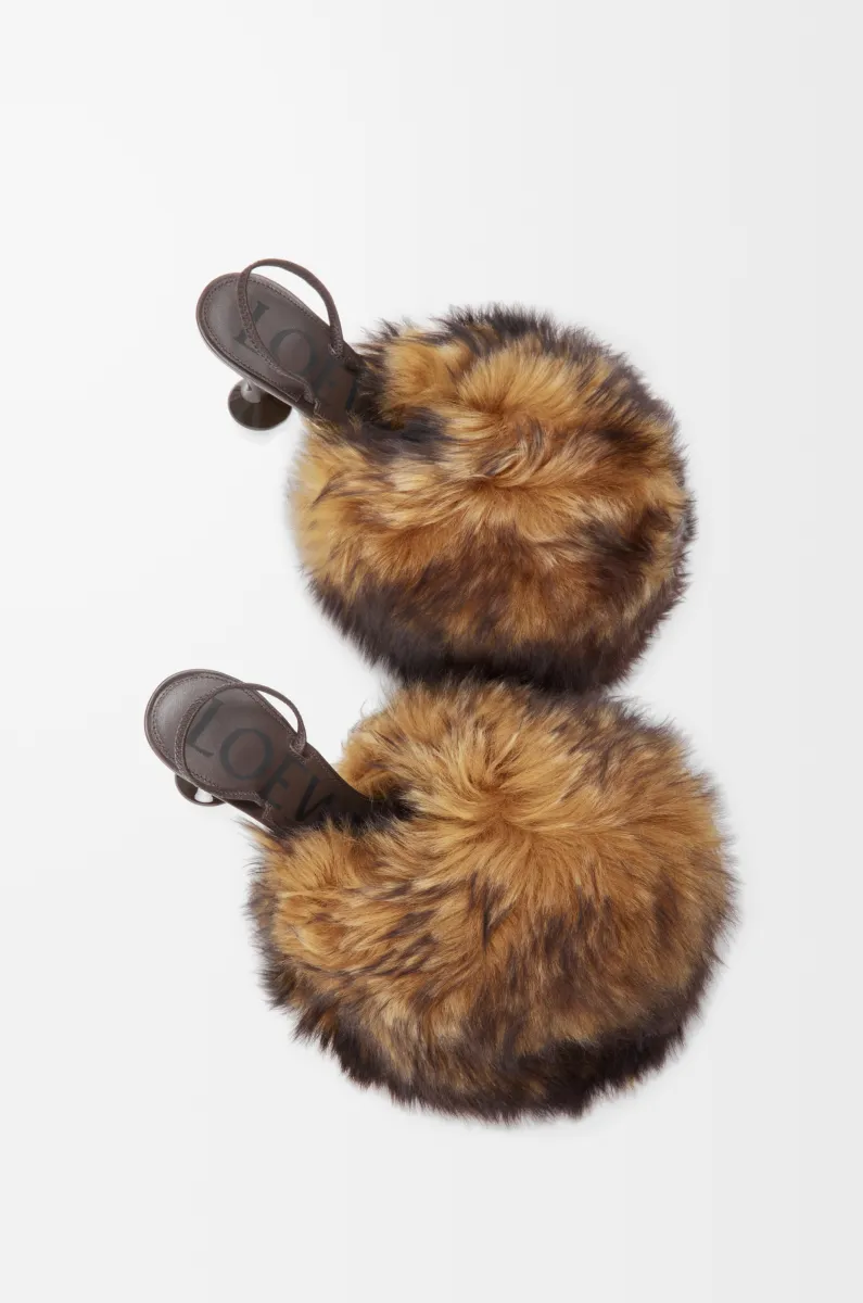 剪羊毛 Toy 后系带高跟鞋