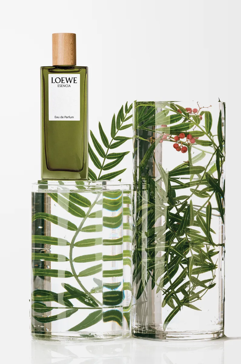 LOEWE 黑色圆舞曲男士浓香水 50ml