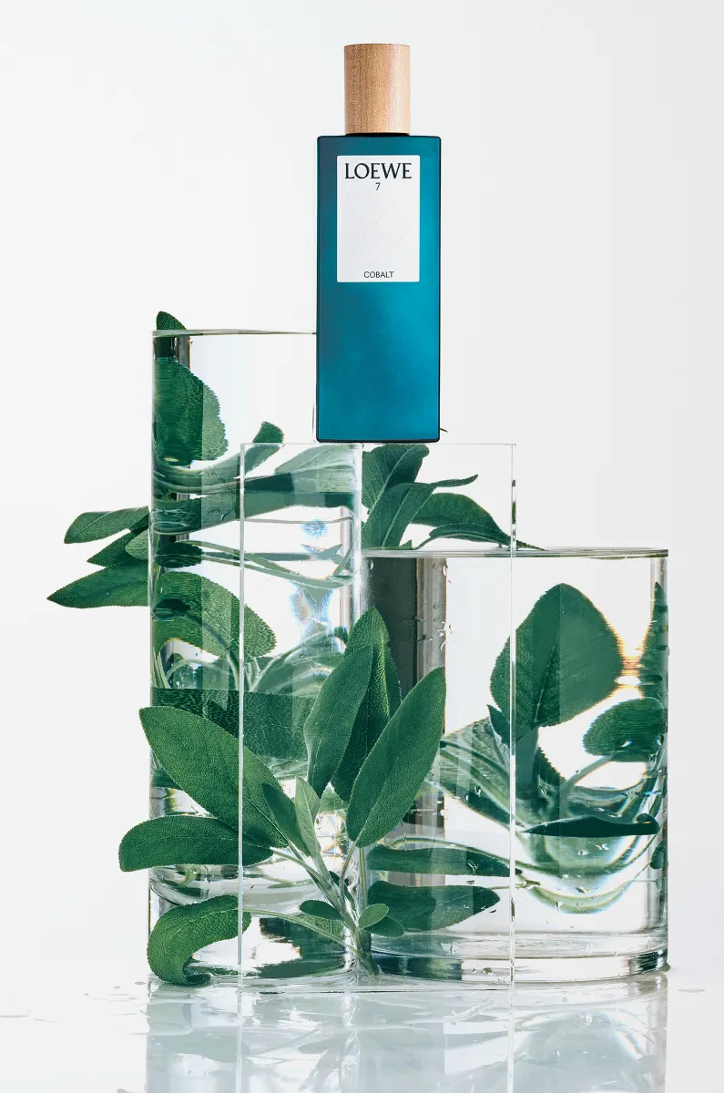 LOEWE 7 Cobalt浓香水 50ml