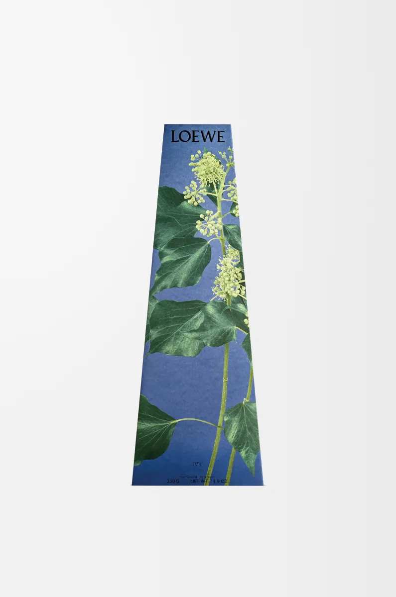 常春藤香氛烛台蜡烛