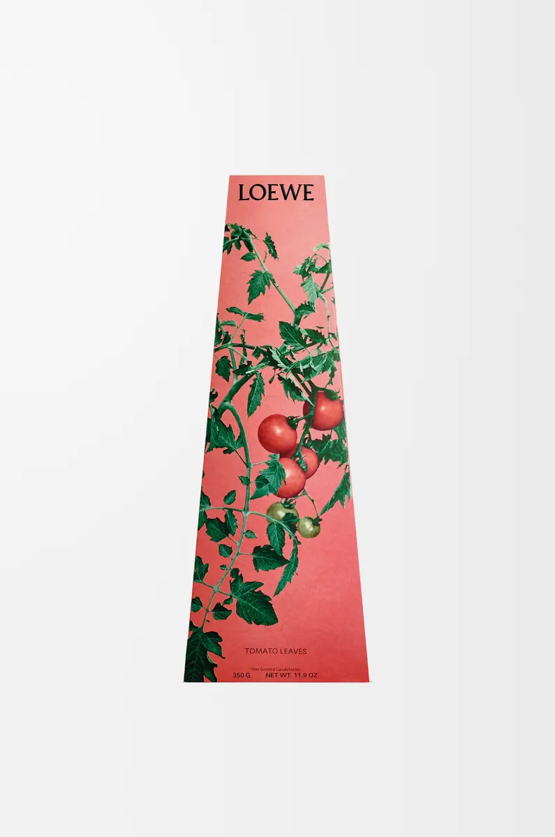 番茄叶香氛烛台蜡烛