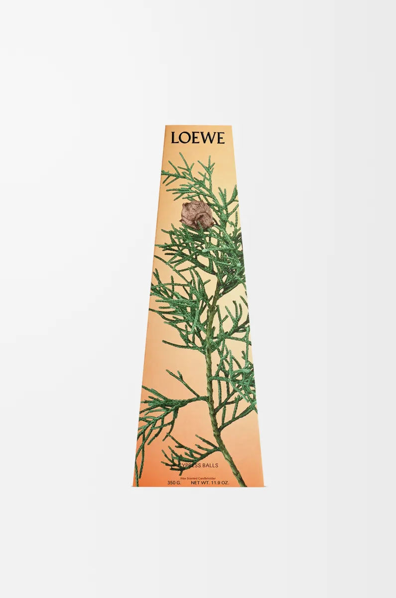 柏树果香氛烛台蜡烛