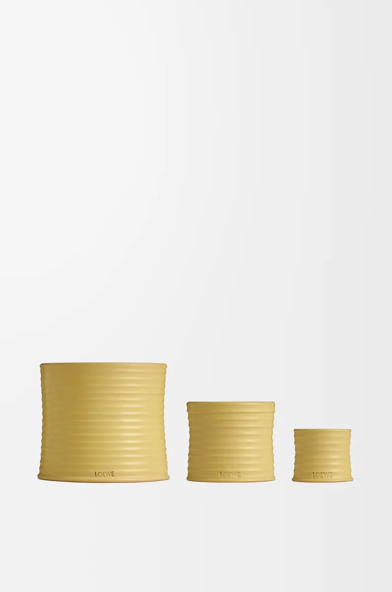 小号金银花香氛蜡烛