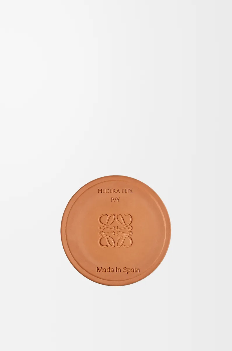 常春藤香精蜡烛