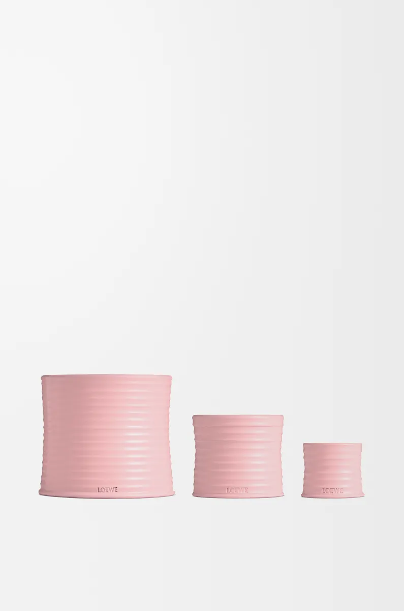 常春藤香精蜡烛