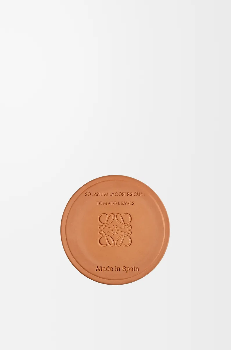 小号番茄叶香氛蜡烛