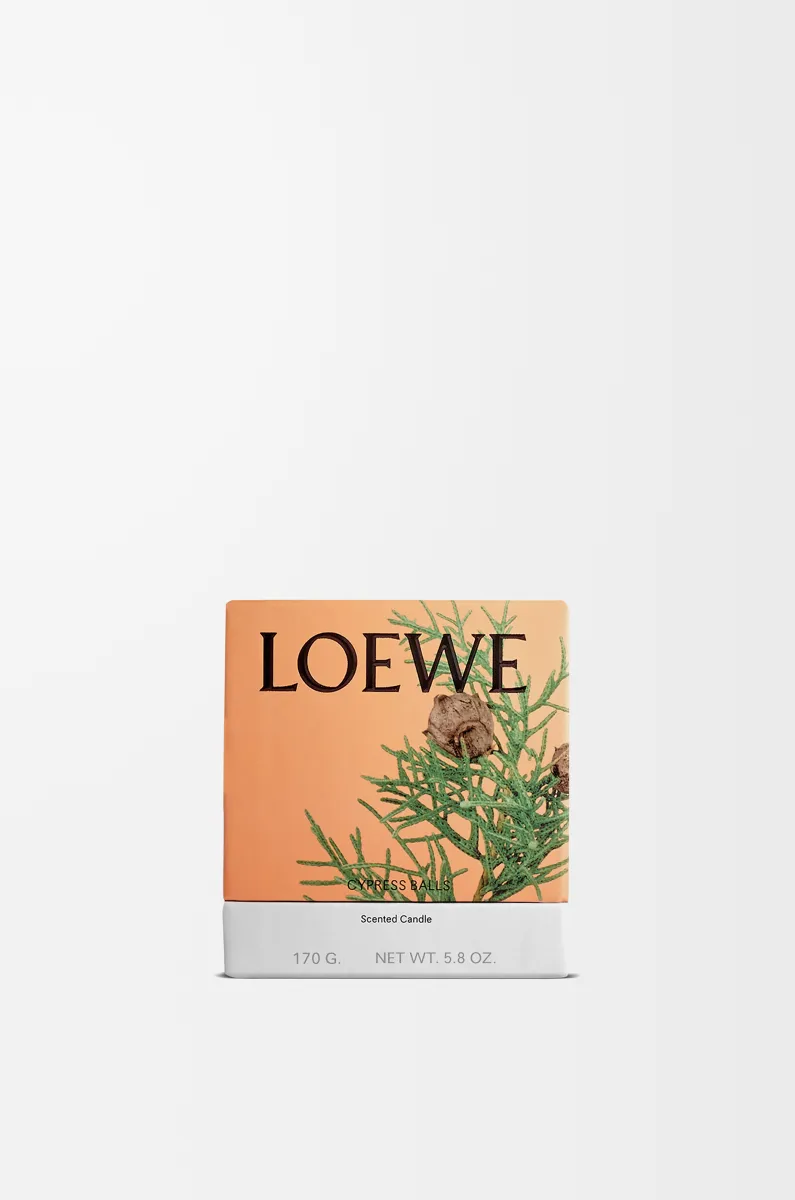 小号柏树果香氛蜡烛