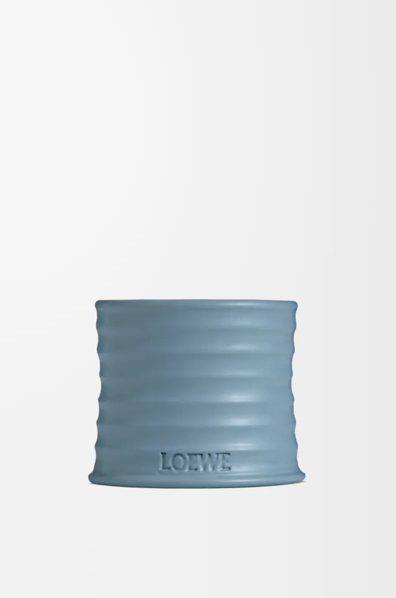 小号柏树果香氛蜡烛