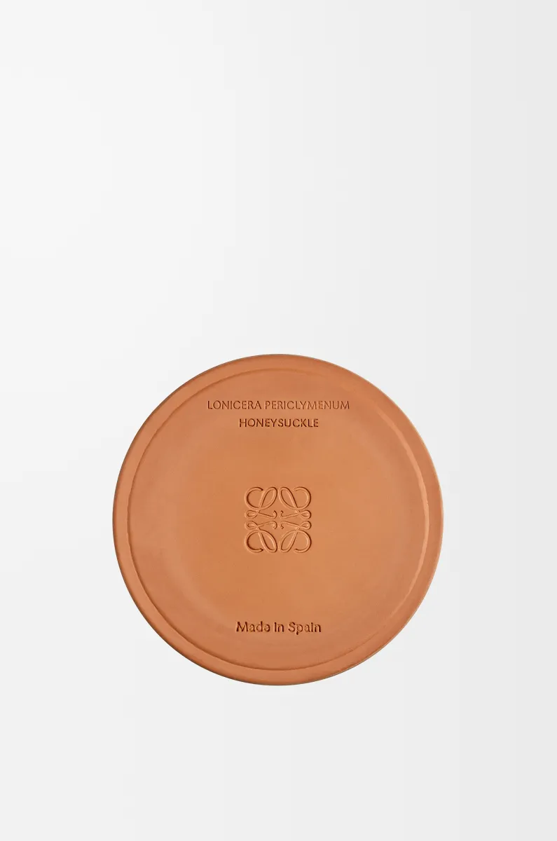 中号金银花香氛蜡烛