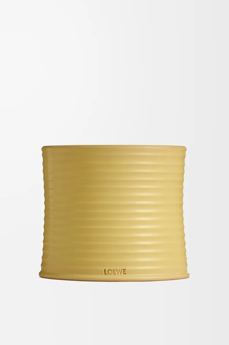 中号金银花香氛蜡烛