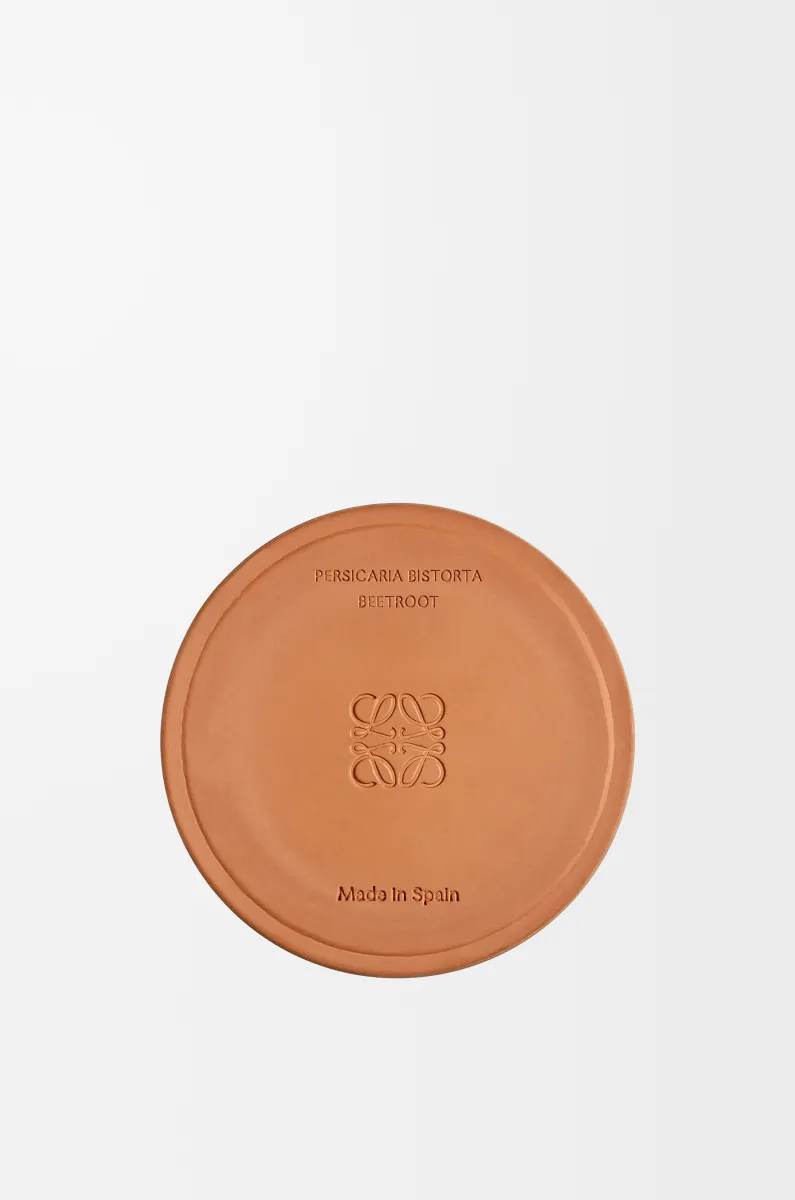 中号甜菜根香氛蜡烛