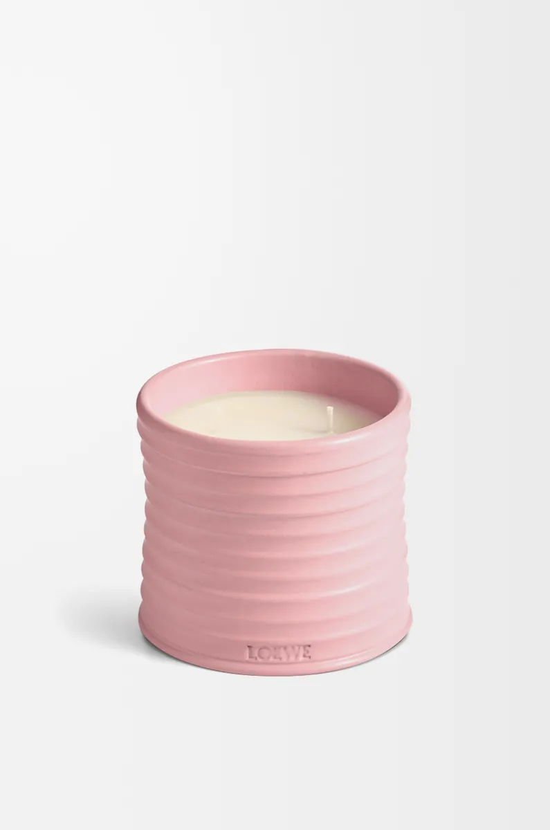 中号常春藤香氛蜡烛