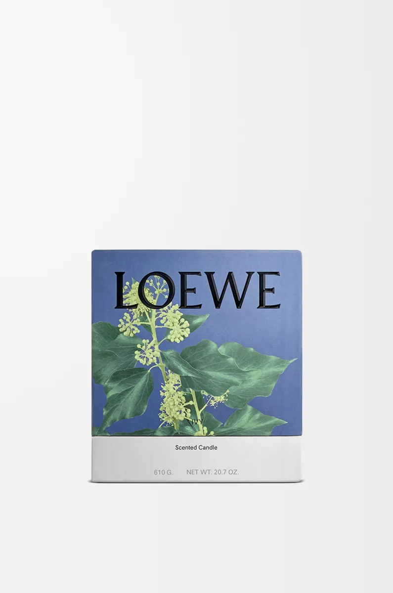 中号常春藤香氛蜡烛