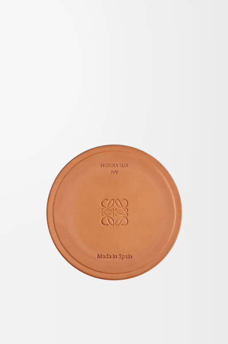 中号常春藤香氛蜡烛