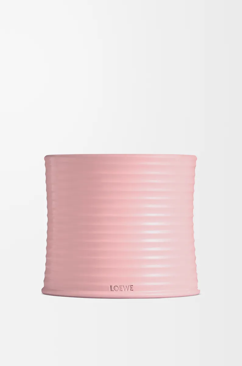 中号常春藤香氛蜡烛