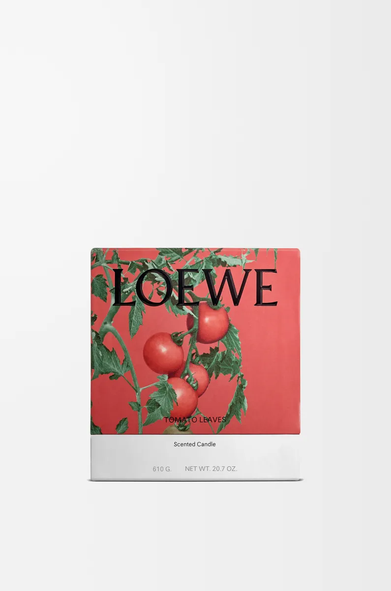 中号番茄叶香氛蜡烛