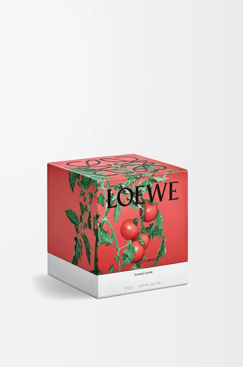 中号番茄叶香氛蜡烛