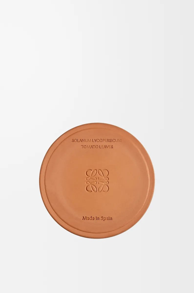 中号番茄叶香氛蜡烛