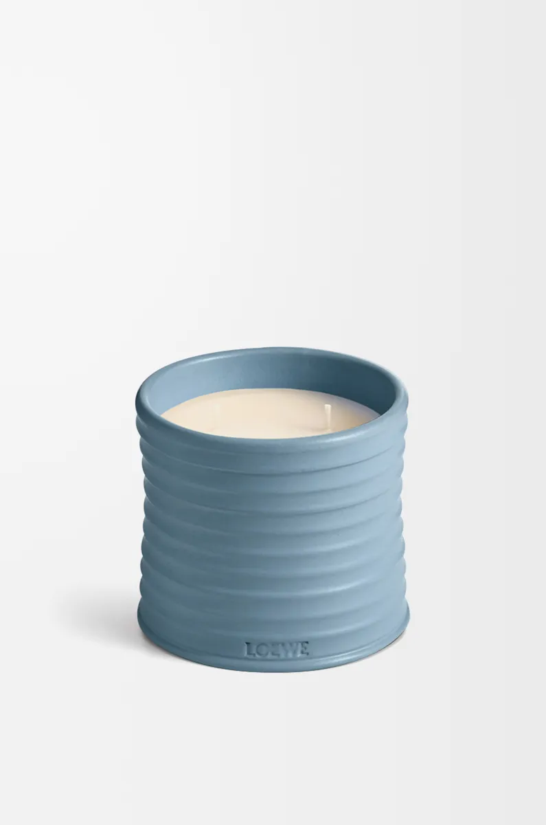 中号柏树果香氛蜡烛