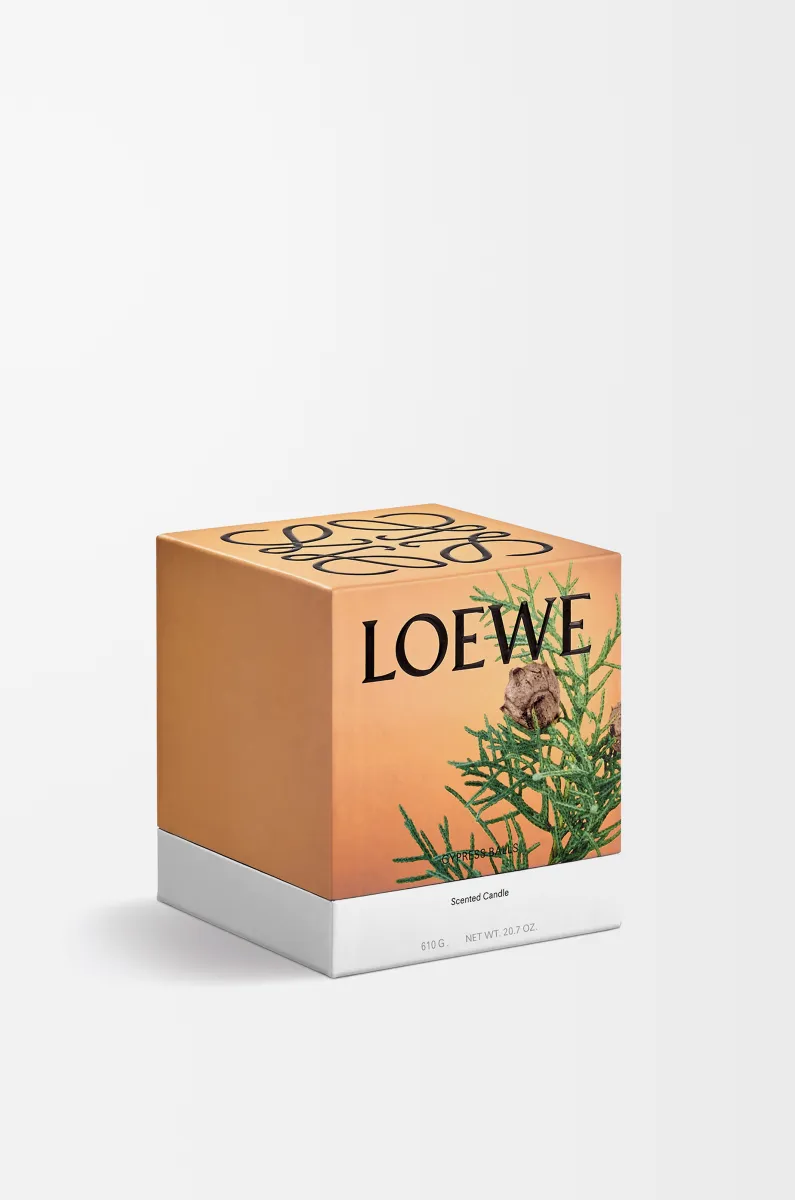 中号柏树果香氛蜡烛