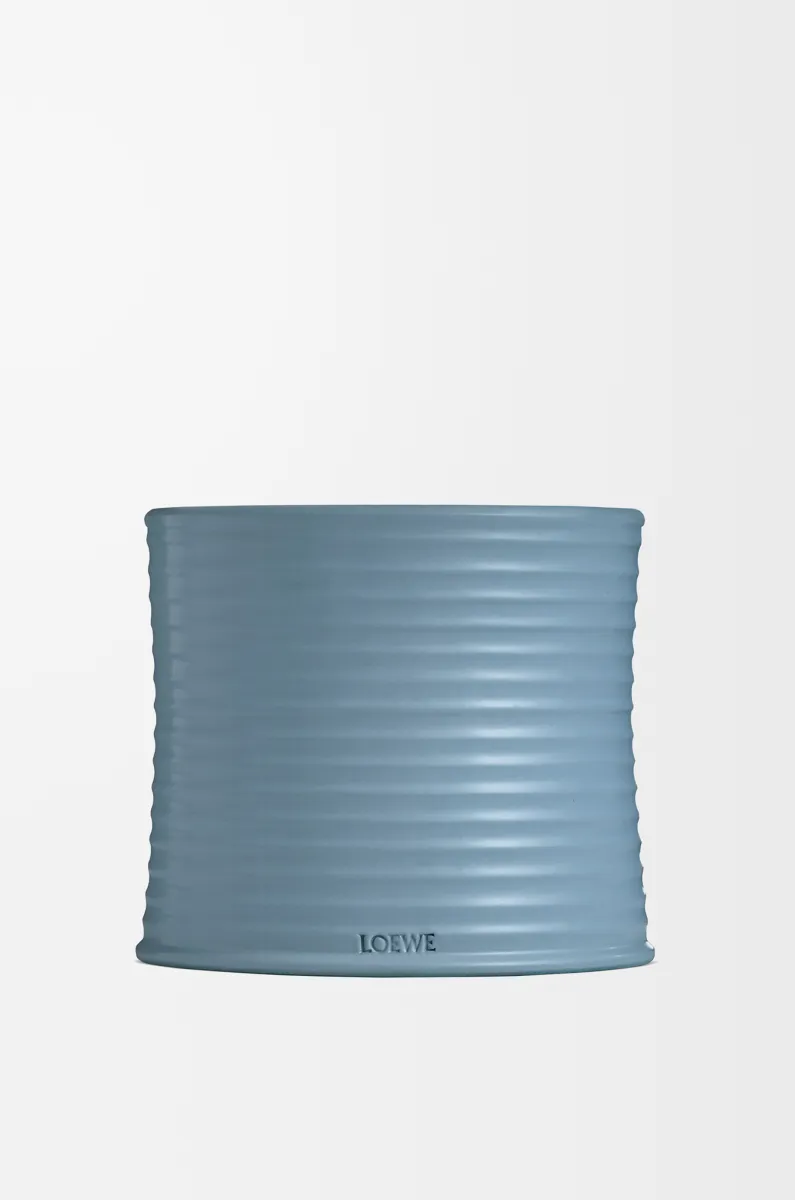 中号柏树果香氛蜡烛