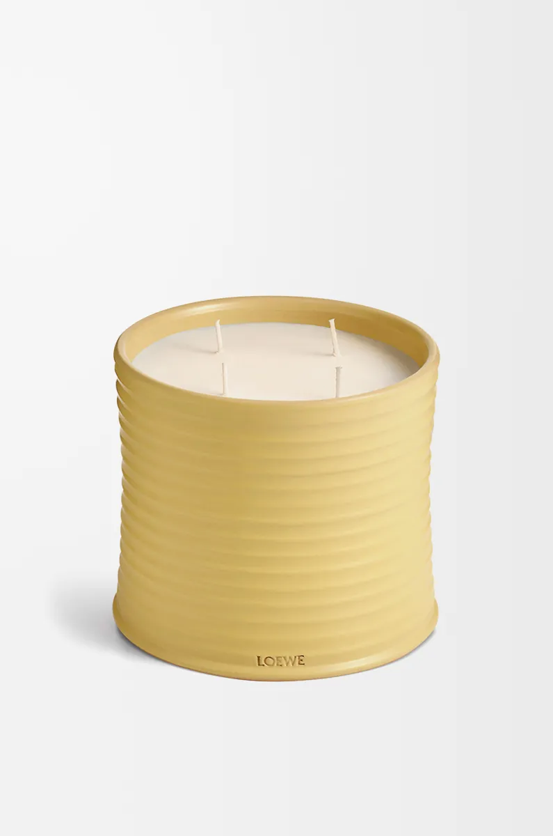 大号金银花香氛蜡烛