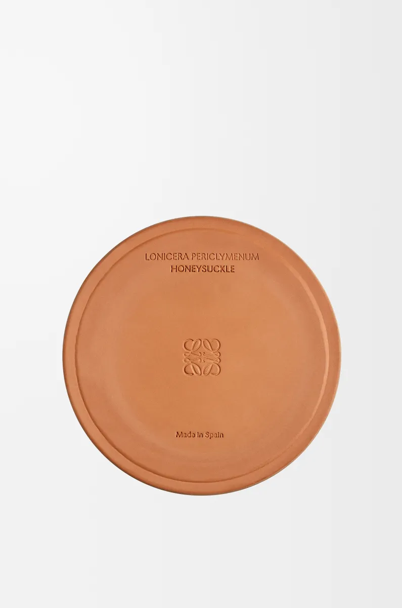 大号金银花香氛蜡烛