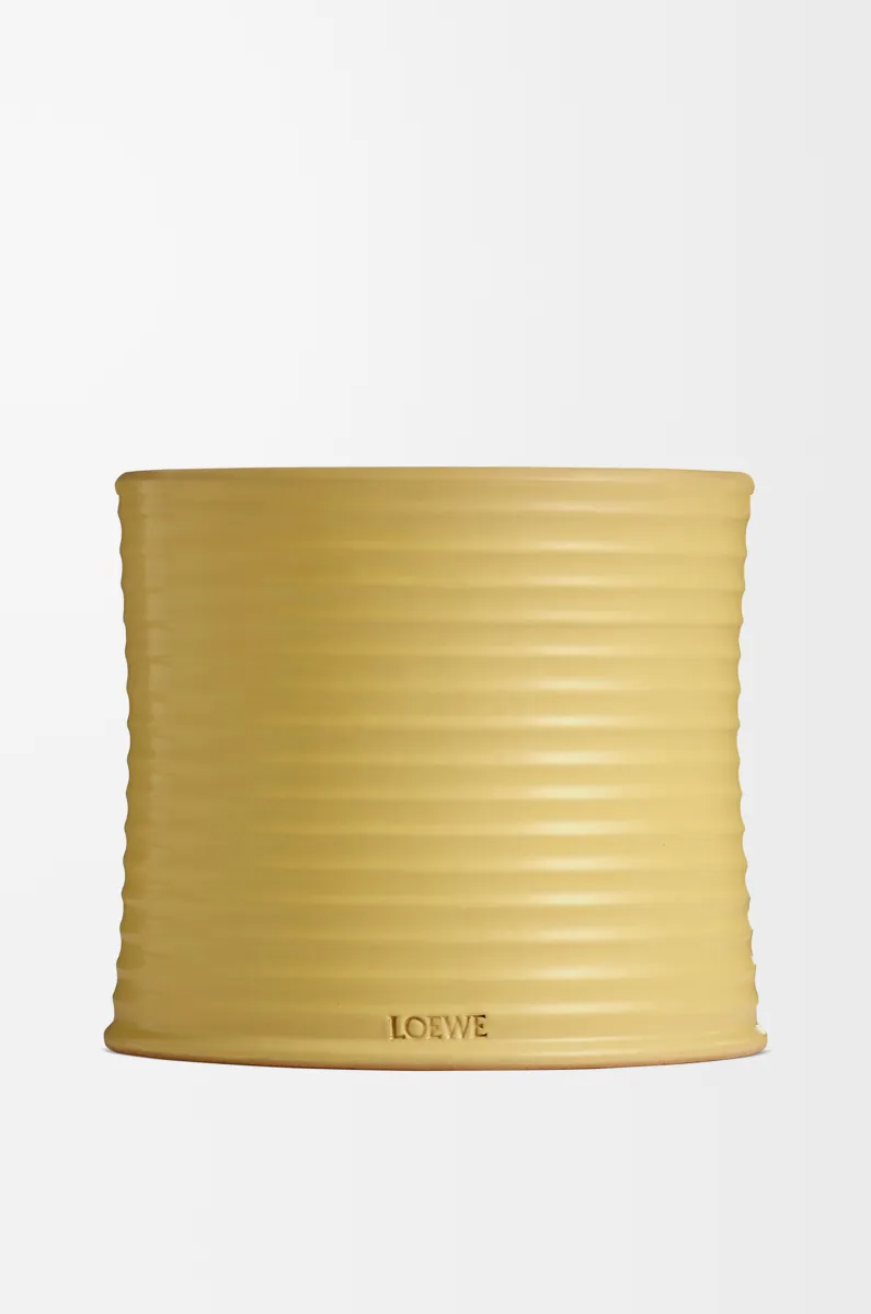 大号金银花香氛蜡烛