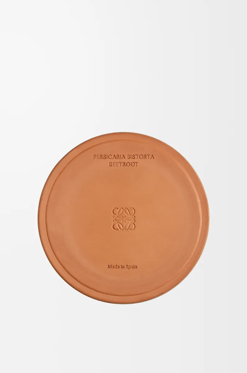 大号甜菜根香氛蜡烛