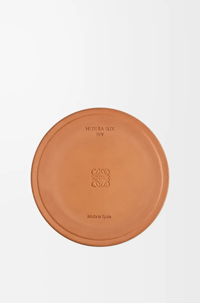 大号常春藤香氛蜡烛