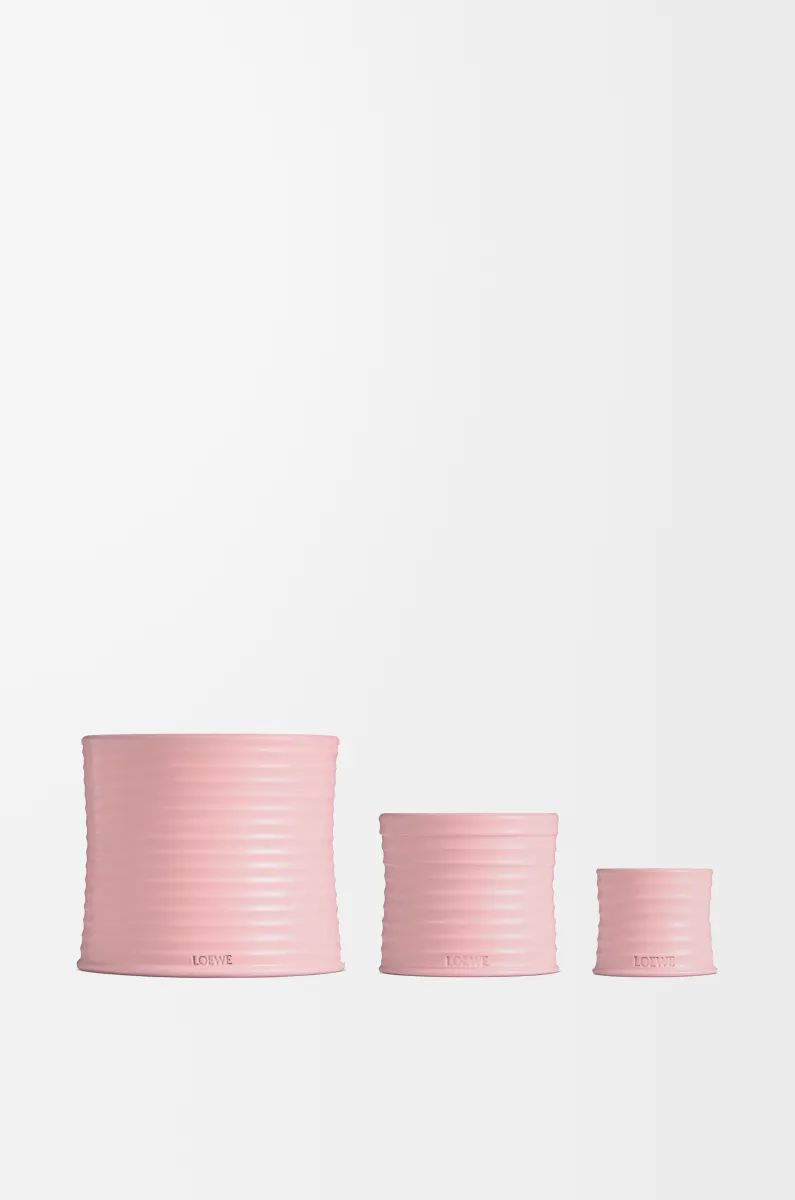 大号常春藤香氛蜡烛