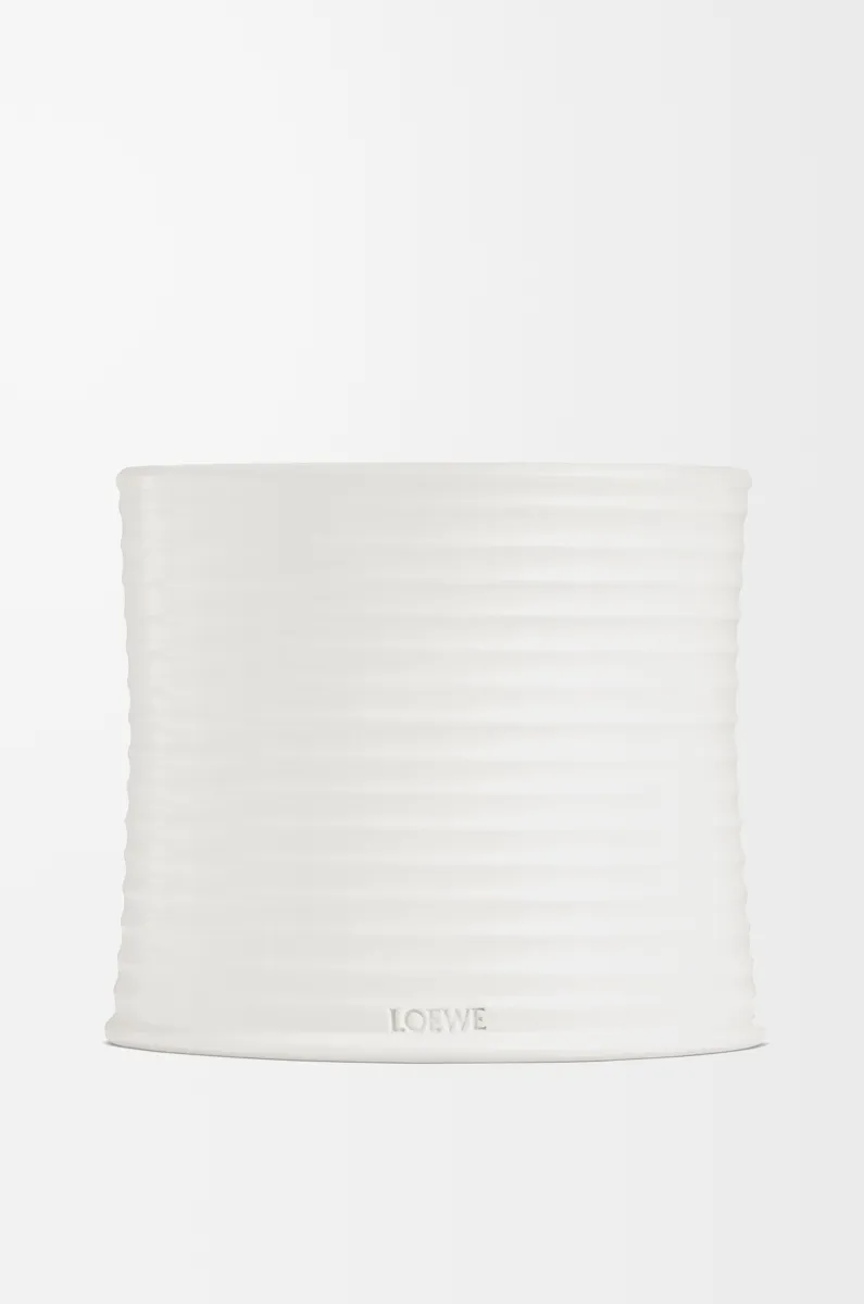 大号牛至香氛蜡烛